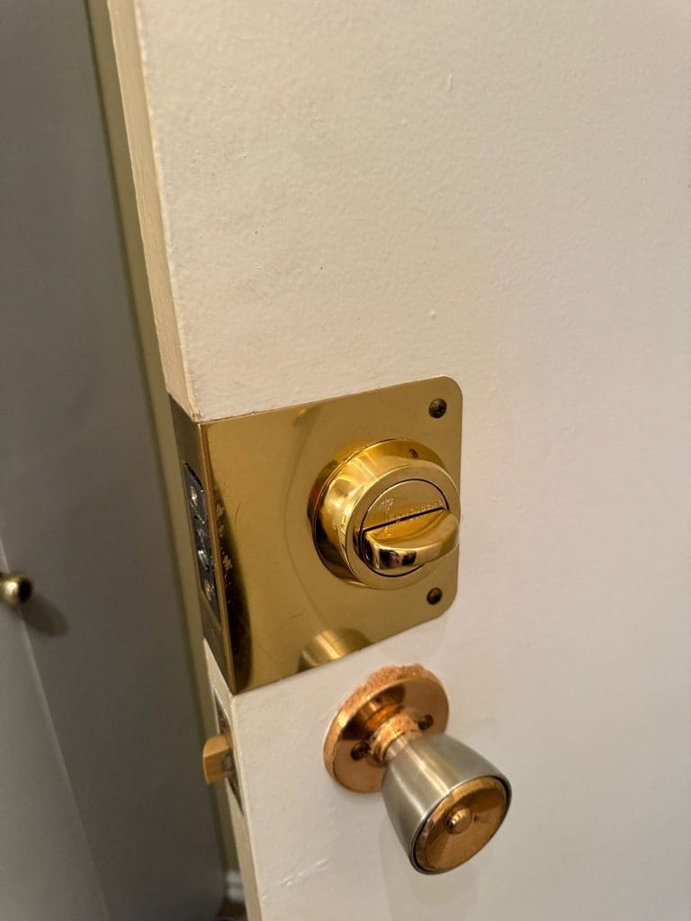 WhatsApp Image 2024-08-22 at 15.25.09_c11e3d86