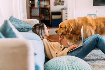 Pet safety with a happy dog in a secure home environment, representing the importance of creating a safe space for pets.