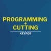 Cut + Program Transponder Key (Regular)